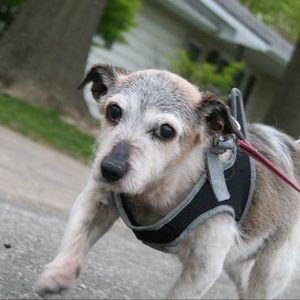 Meet your Posher, Ava